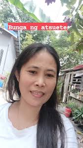 Bunga ng atsuete #reelsfbシ #bunga #ng #atsuete