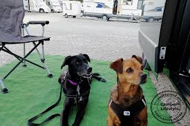 Camping teppich test die preiswertesten camping teppiche im überblick. Camping Teppich Aus Kunstrasen Camper Dinge