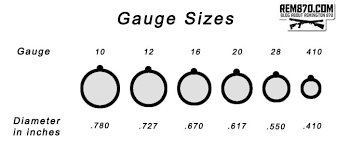 10 and 16 gauge shotshells are rare, though they're still being manufactured. Shotgun Shells Explained Types Of Ammo Birdshot Buckshot Slugs