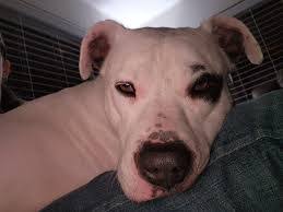 Marilyn Pera's Instagram, Twitter & Facebook