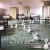 Keluar dari kawasan sekolah tanpa kebenaran. Https Encrypted Tbn0 Gstatic Com Images Q Tbn And9gcrchoaa6rgdweuz2sejmtvvmf7c0i0wovclk Y7mu1svo2lnv42 Usqp Cau