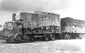 Image result for White 1986 Cawthorn and Sinclair