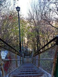The wentworth pass is one of the harder walks in the blue mountains. Engagement Announcement Hamilton Citizens Accept Proposal From Sassy Stairs Raise The Hammer