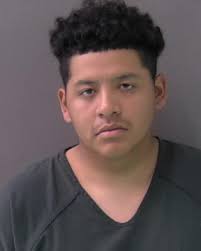 PFLANZ, JAMES PAUL was booked into the Bell County Jail