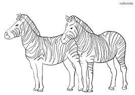 100% free safari animal coloring pages. Zebras Coloring Pages Free Printable Zebra Coloring Sheets