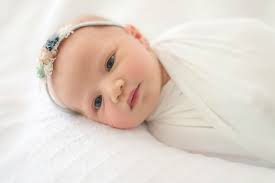 Tracy Lynn Photography