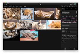 When you change the date and time of your photo, the edited date and time will appear in google photos. Adjusting Time And Date For Photos Or Sets Of Photos Mylio
