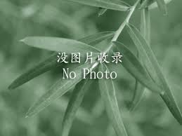 Image result for Ochthocharis