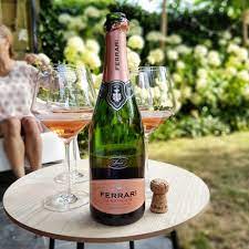 Ferrari trento promotes a culture of drinking responsibly which is part of the italian art of living. Ferrari Spumante Doc Maximum Rose N V Reviews The Story Of My Wine