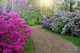 Maybe you would like to learn more about one of these? 6 Garden Maintenance Tasks For The Month Of May