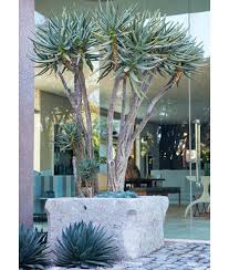 Amid the lively, contemporary ramble of los angeles, landscape designer scott shrader has built a house that defines timeless comfort and calm. Gardendesignmag Los Angeles Designer Scott Shrader Is Known For Rich But Refined Landscapes That All For Gardening