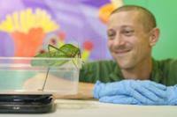 Penguins, capybaras, lemurs and more being weighed at zoo