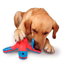 Another great game for dogs to keep them busy is teaching them how to chase puzzles. Kyjen Volcano Puzzle Toy For Dogs Interactive Toy Feeder Big Dog Toys Cheap Dog Toys Dog Toys
