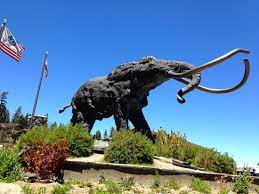 Woolly mammoths model animatronic life size animals statue. Mammoth Statue Picture Of The Village Lodge Mammoth Lakes Tripadvisor