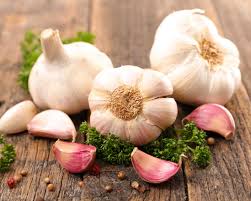 If the base is damaged, the garlic will not grow. How To Grow Garlic