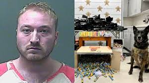 Wisconsin man arrested in Indiana after K9 detects drugs during traffic  stop