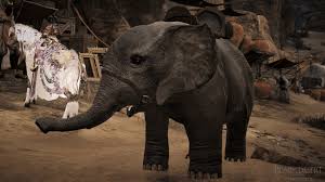 Bdo Elephant Mount Guide Black Desert Online Grumpyg
