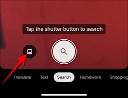 How To Use Google Image Search On Iphone Or Ipad