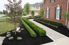 Mulch Landscaping Design Ideas Pictures Remodel And Decor Black Mulch Mulch Landscaping Landscape Design Garden Design