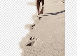 ✓ free for commercial use ✓ high quality images. Siesta Key Beach Sand Footprints Walking Beach Footprints Beach Outdoor Shoe Png Pngegg