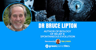 In his book the biology of belief, he claims that beliefs control human biology rather than dna and inheritance. Dr Bruce Lipton Author Of Biology Of Belief Spontaneous Evolution