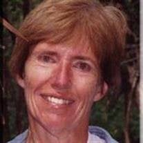 DIANE MARY (SCHIEBER) YEHLE Obituary