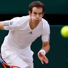 Chociaż niechętnie mówią publicznie o swoim życiu prywatnym, co jakiś czas do kolorowej prasy docierają wiadomości z ich życia. Photos Andy Murray Rallies Past Jerzy Janowicz In Wimbledon Semifinals Sports Illustrated