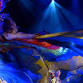 Bellydance Evolution event image