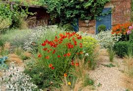A Mediterranean Garden Idea With Eryngium Helenium And Lavandula Mediterraner Garten Pflanzen Mediterrane Pflanzen