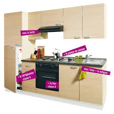 Tout l'équipement et les outils pour bricoleurs amateurs ou professionnels Meubles De Cuisine Castorama Cuisine Complete Daily Chene Blanchi Prix 990 00 Euros Bricolage Maison Loisirs Ventes Pas Cher Com