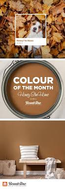 Exterior wood finishes exterior stain sikkens cetol. 84 Beauti Tone Colour Crush Ideas In 2021 Color Crush Colours Paint Colors
