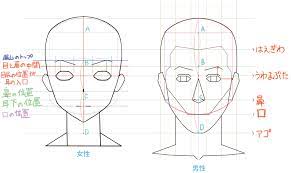 顔の描き方】顔のパーツのバランスの取り方・鼻の形を知ろう！ | イラスト・マンガ描き方ナビ