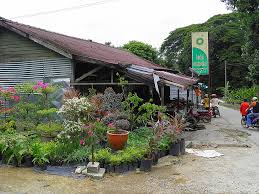 Tragedi letup4n dan kebak4r4n kilang mercun bright sparklers merupakan tragedi letup4n kilang mercun/bunga api yang berlaku. Sungai Buloh Leprosy Settlement The Thrifty Traveller