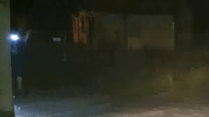 Januar dezember beliebtheit 0% 5% 20% 50% 100%. Feral Drachenlord Know Your Meme