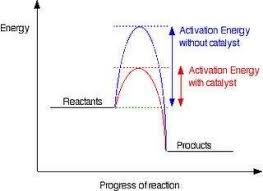 Chart Of The Relation Between The Activation Energy And