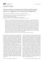 Image result for Camptorrhiza strumosa