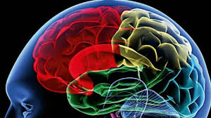 Rates of glioblastoma multiforme (iv), an aggressive and deadly form of brain tumour, are increasing in the uk, us, netherlands, sweden, and denmark. Brain Tumour Among Children On The Rise In India