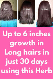 Biotin Hair Growth Before And After Pictures Up To 6 Inches Growth In Long Hairs In Just 30 Days Using This Herb Isn T It Amazing Up To Biotin Hair Growth Vitamins For Hair Growth Hair Growth Challenge