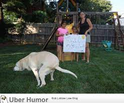 Afternoon Funny Quotes Quotesgram