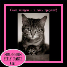 pin by aleksandra loseva on belly dance cat meme cat memes belly dance dance