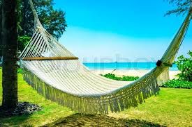 For a much quieter experience in unawatuna, head to mihiripenna beach. Hammock Between Two Palm Trees On The Stock Image Colourbox
