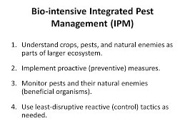(building healthy soil without succumbing to weeds, insects & diseases). Organic Management Of Weeds Pests And Crop Diseases Ppt Video Online Download