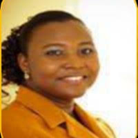 600+ "Maxwell" profiles