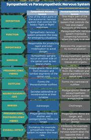 Difference Between Sympathetic And Parasympathetic Nervous System In Tabular Fo Parasympathetic Nervous System Nervous System Anatomy Peripheral Nervous System