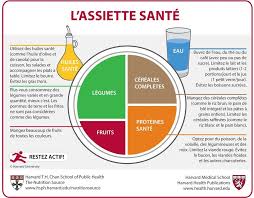 L Assiette Sante De Harvard Expliquee Science Fourchette Healthy Eating Plate Healthy Eating Pyramid Healthy Plate
