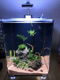 Pin De David Stoquert Jr Em Aquariums Decoracoes De Aquario Aquario Plantado