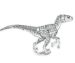 coloriage dinosaure dessin velociraptor a imprimer en 2021 nom de surprise lol