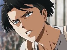 O Que Vc Seria Do Capitão Levi