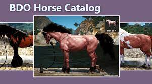 Difference between a camel and a horse. Bdo Horse Catalog See What Horses Really Look Like Violet Astray