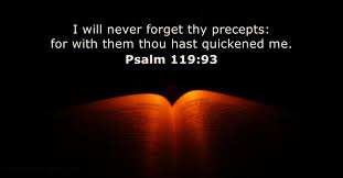 12 Bible Verses about 'Forget' - KJV - DailyVerses.net